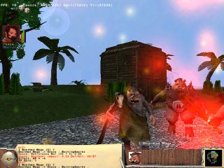 Fight.jpg